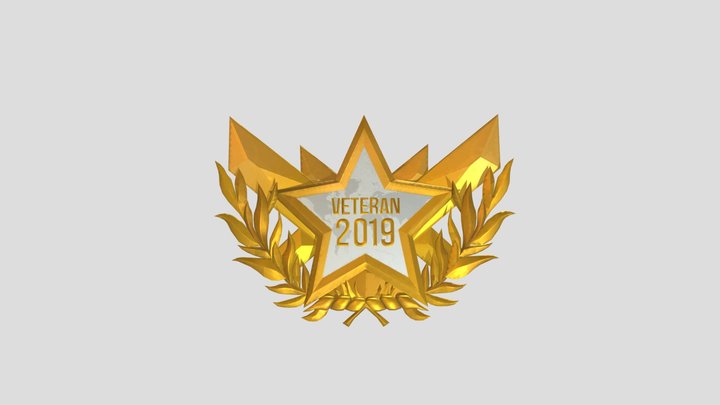 Medal 2019 veteran 3D Model